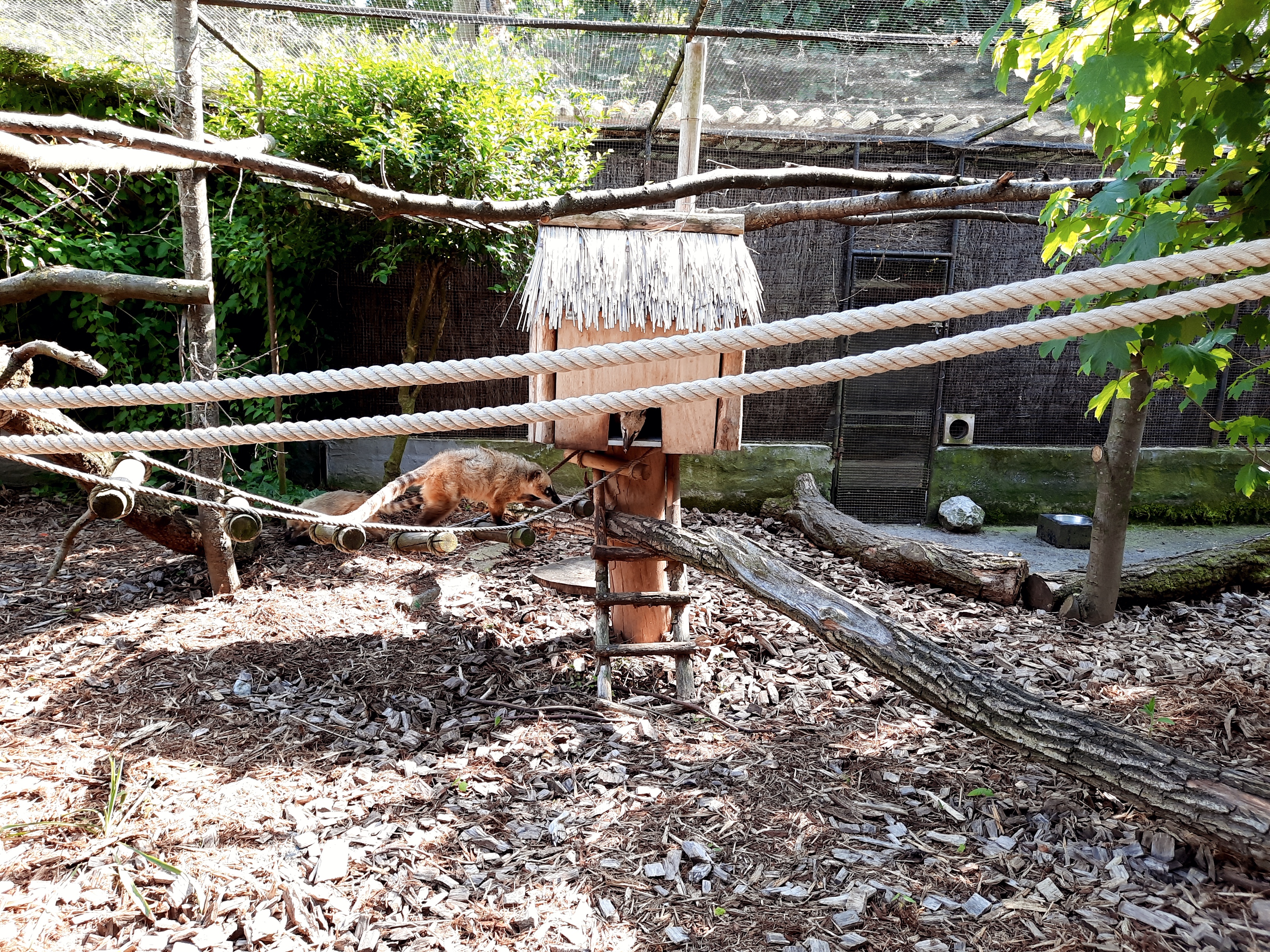 Photo n° 49 de l'avis de Lounes. fait le 02/06/2021 à 21:26