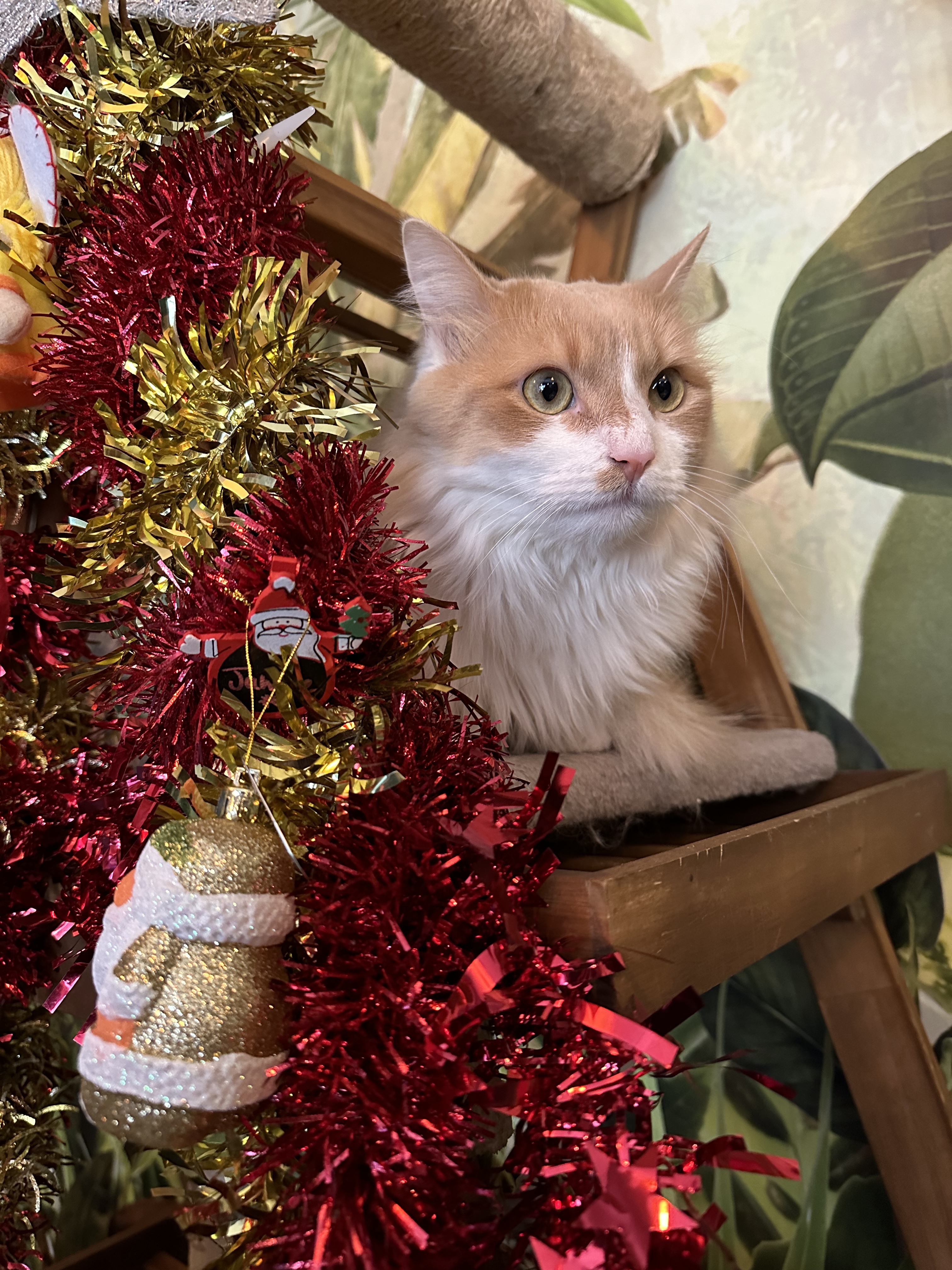 Photo n° 1 de l'avis de Romain. fait le 18/12/2022 à 11:27