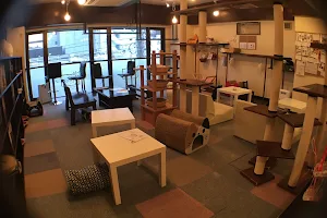 Cat Cafe Miysis image