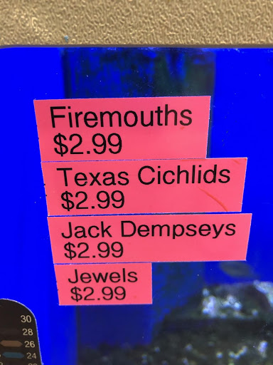 Pet Store «Bird Dog & Catfish», reviews and photos, 115 Old Boerne Rd, Bulverde, TX 78163, USA