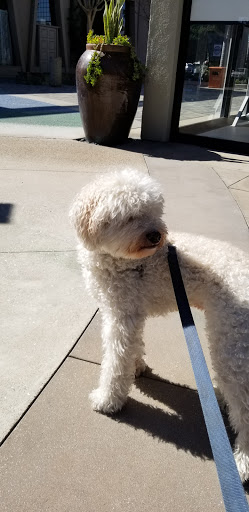 Shopping Mall «Huntington Harbor Mall», reviews and photos, 16847 Algonquin St, Huntington Beach, CA 92649, USA