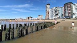 Photo de Strand Vlissingen avec un niveau de propreté de très propre