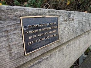 Spring Lake Park - photo 65