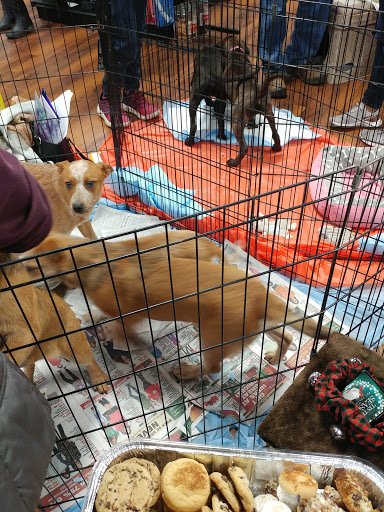 Pet Store «Pet Valu», reviews and photos, 1301 W Skippack Pike, Blue Bell, PA 19422, USA