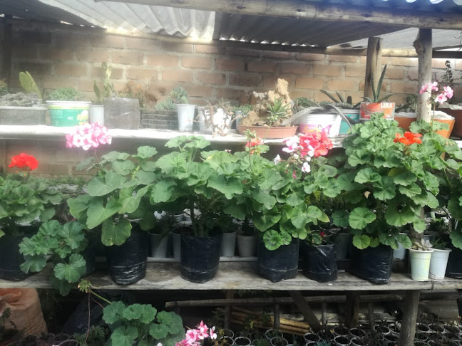 Túpac Amaru 711, Cajamarca 06003