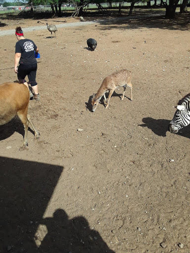 Ranch «Sharkarosa Wildlife Ranch», reviews and photos, 11670 Massey Rd, Pilot Point, TX 76258, USA