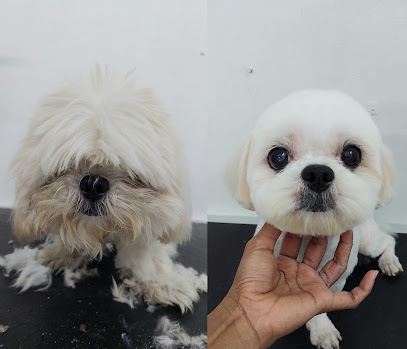 Furfect Pet Salon