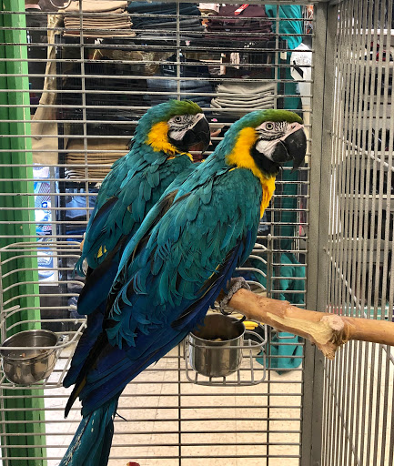 Pet Supply Store «Super Pet Store», reviews and photos, 5220 S Pulaski Rd, Chicago, IL 60632, USA