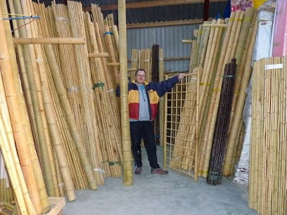 Bambusimport