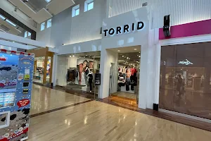 Torrid image