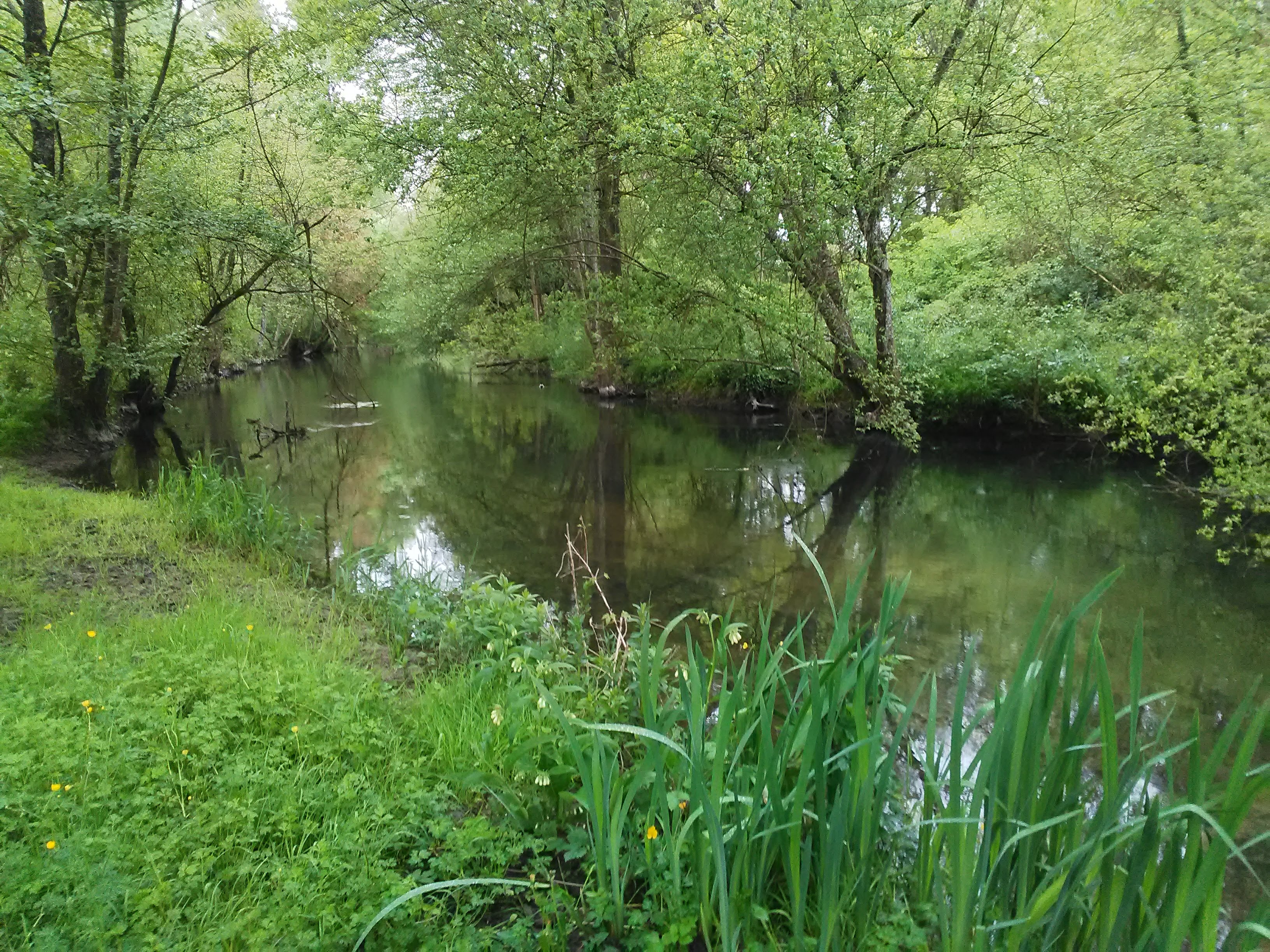 Photo n° 1 de l'avis de Dadou.a fait le 01/05/2018 à 16:56