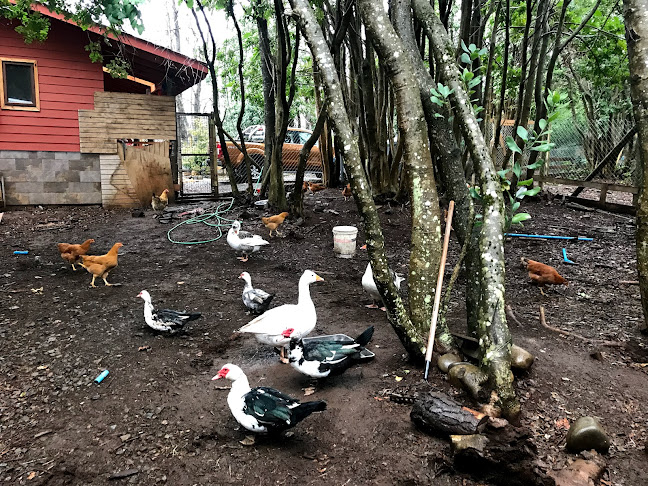 Ashram Loknath Yoga - Escuela