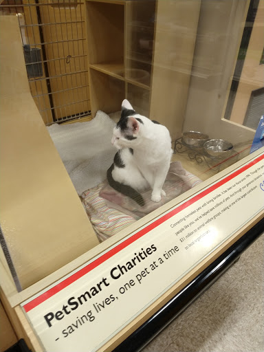 Pet Supply Store «PetSmart», reviews and photos, 600-800 Hatton Dr, Glen Mills, PA 19342, USA
