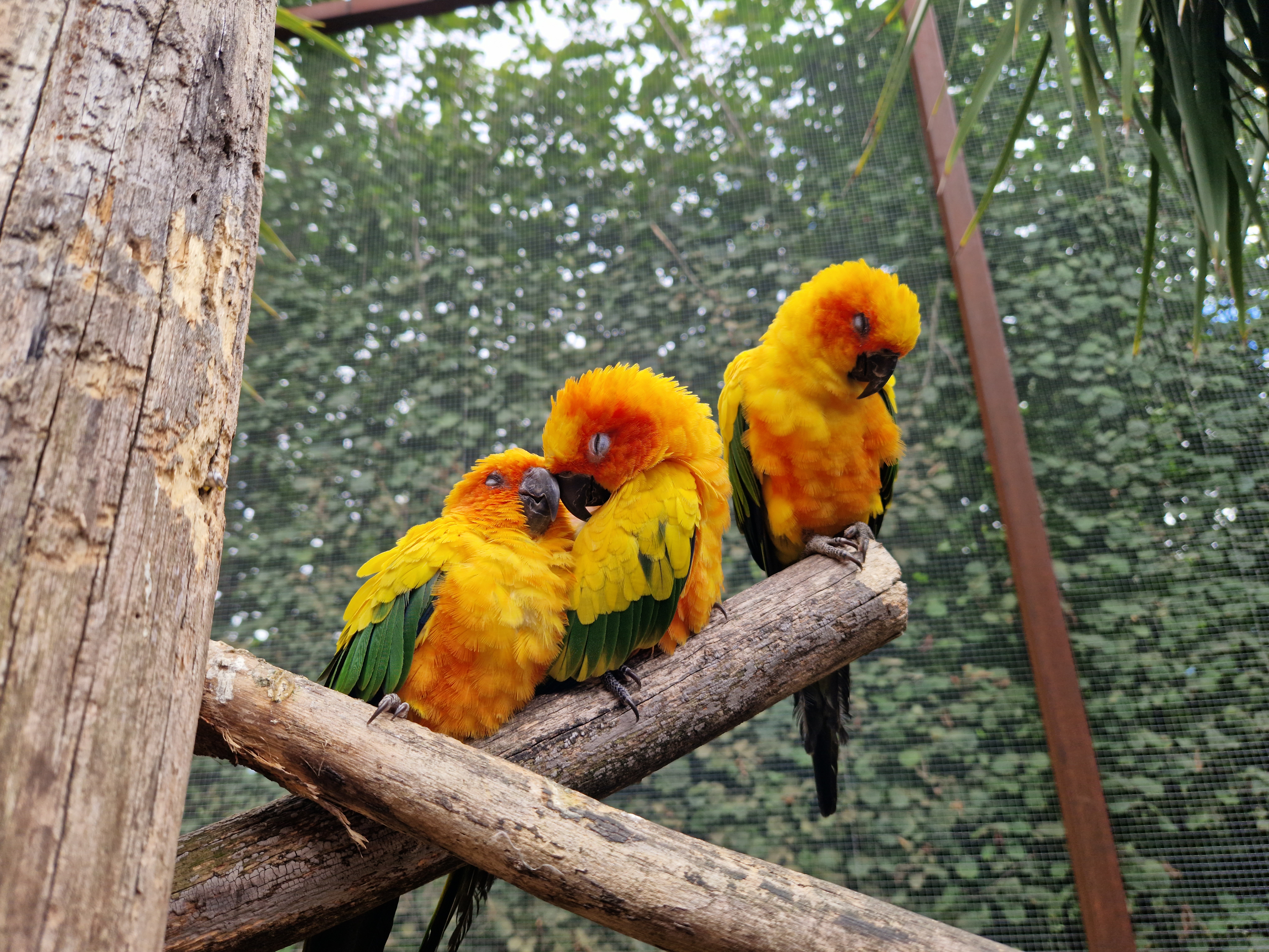 Photo n° 1 de l'avis de Aline.u fait le 27/08/2023 à 11:28