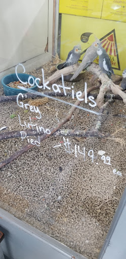 Pet Store «Sierra Fish and Pets», reviews and photos, 601 S Grady Way Suite M, Renton, WA 98057, USA