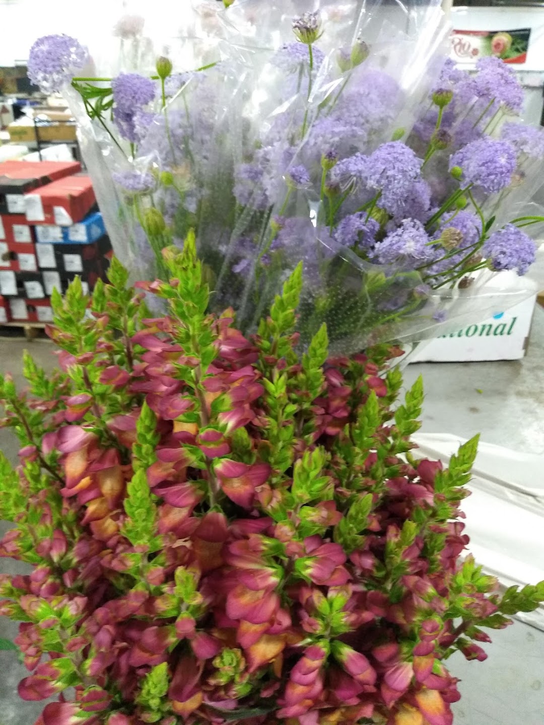 DWF Dallas Wholesale Florist