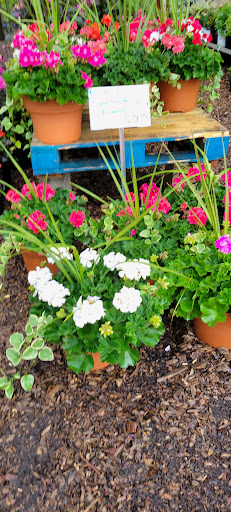 Produce Market «Highland Orchards Farm Market», reviews and photos, 1431 Foulk Rd, Wilmington, DE 19803, USA