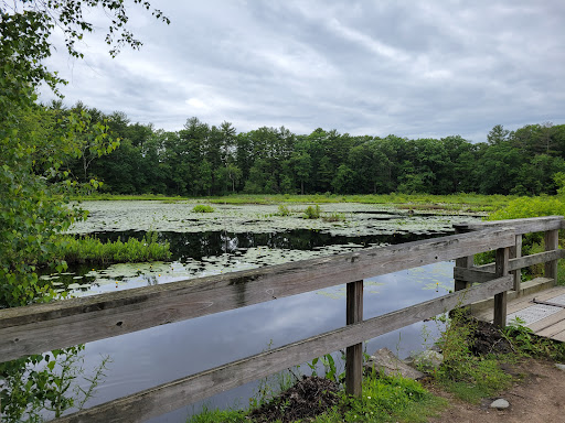 Nature Preserve «The Nature Trail and Cranberry Bog», reviews and photos, 252 Patriot Pl, Foxborough, MA 02035, USA