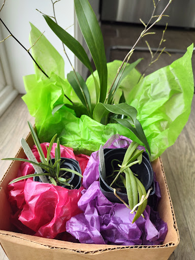 Florist «Floradise Orchids», reviews and photos, 19154 James Madison Hwy, Gordonsville, VA 22942, USA