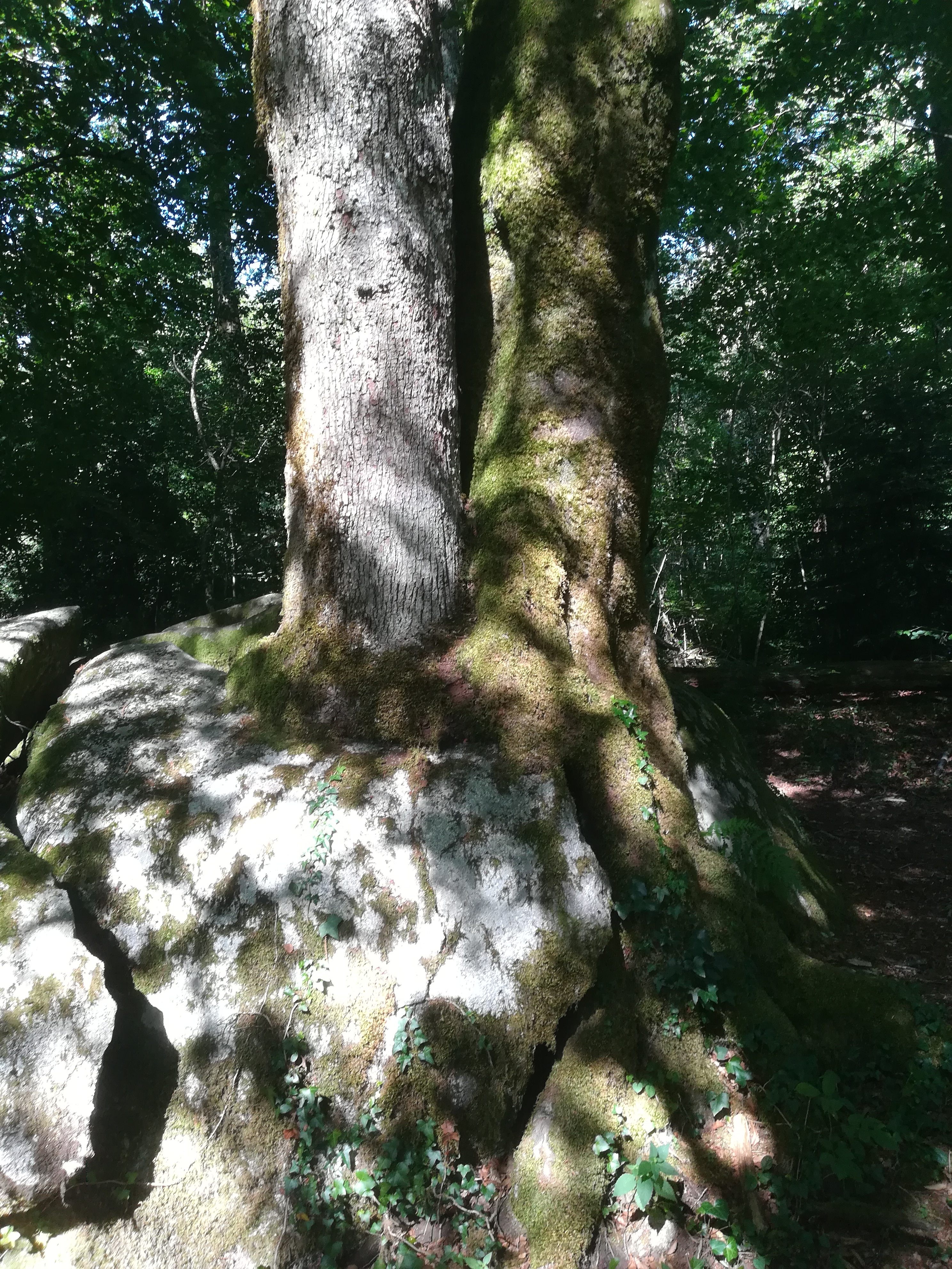 Photo n° 2 de l'avis de Cédric.o fait le 17/08/2019 à 15:52