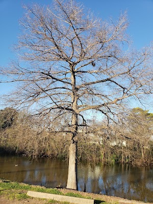 East Kings Highway Park - photo 36