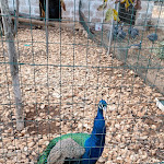 Photo n°18 de l'avis de Antonio.a fait le 13/11/2023 à 10:47 sur le  Masseria Quisisana à Mottola