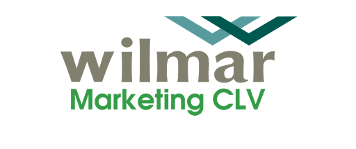 Wilmar Marketing CLV