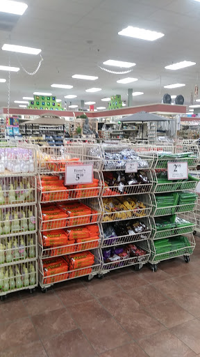 Home Goods Store «Christmas Tree Shops», reviews and photos, 916 Airport Center Rd, Allentown, PA 18109, USA