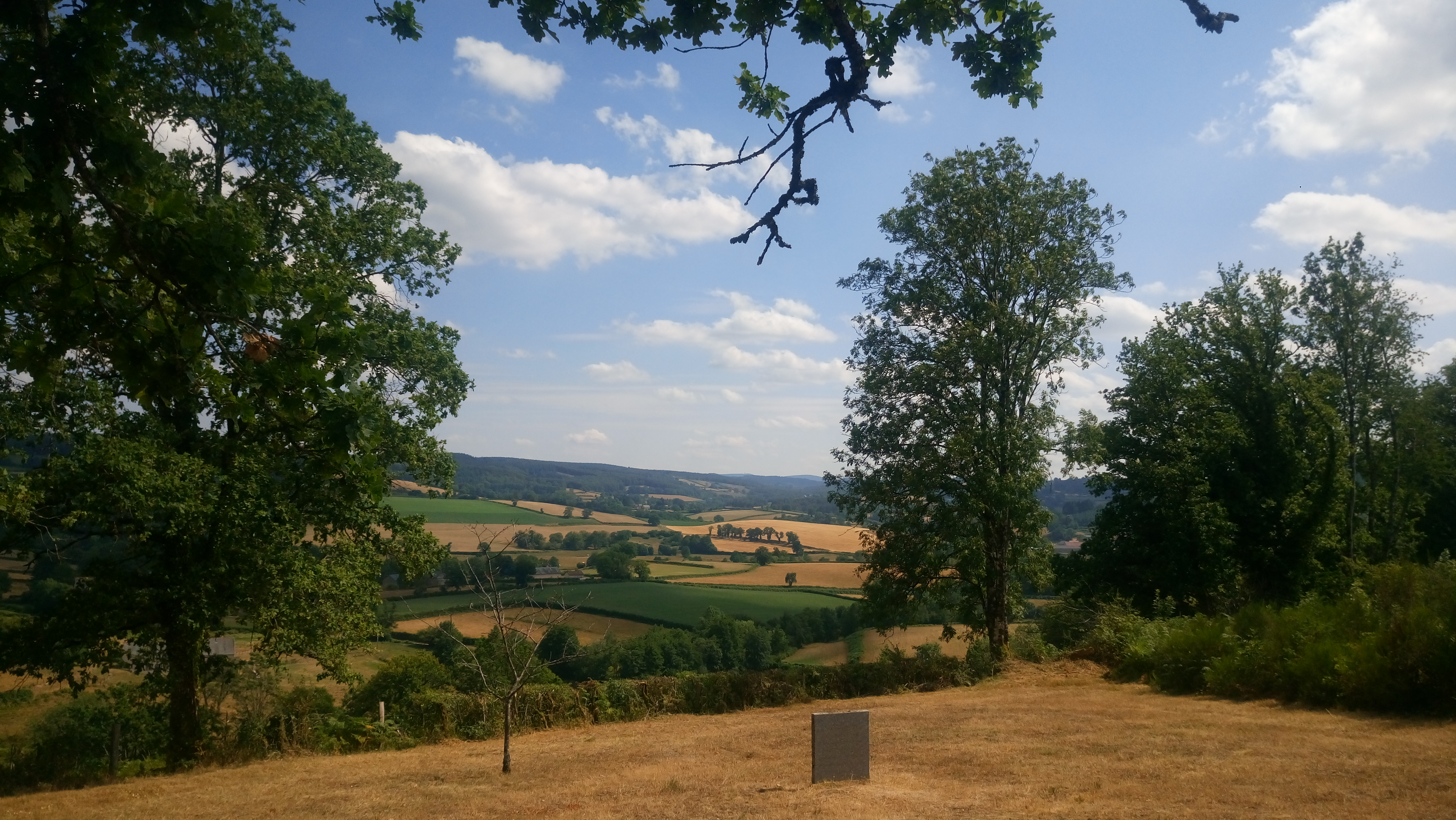 Photo n° 1 de l'avis de New.o fait le 07/08/2019 à 12:52