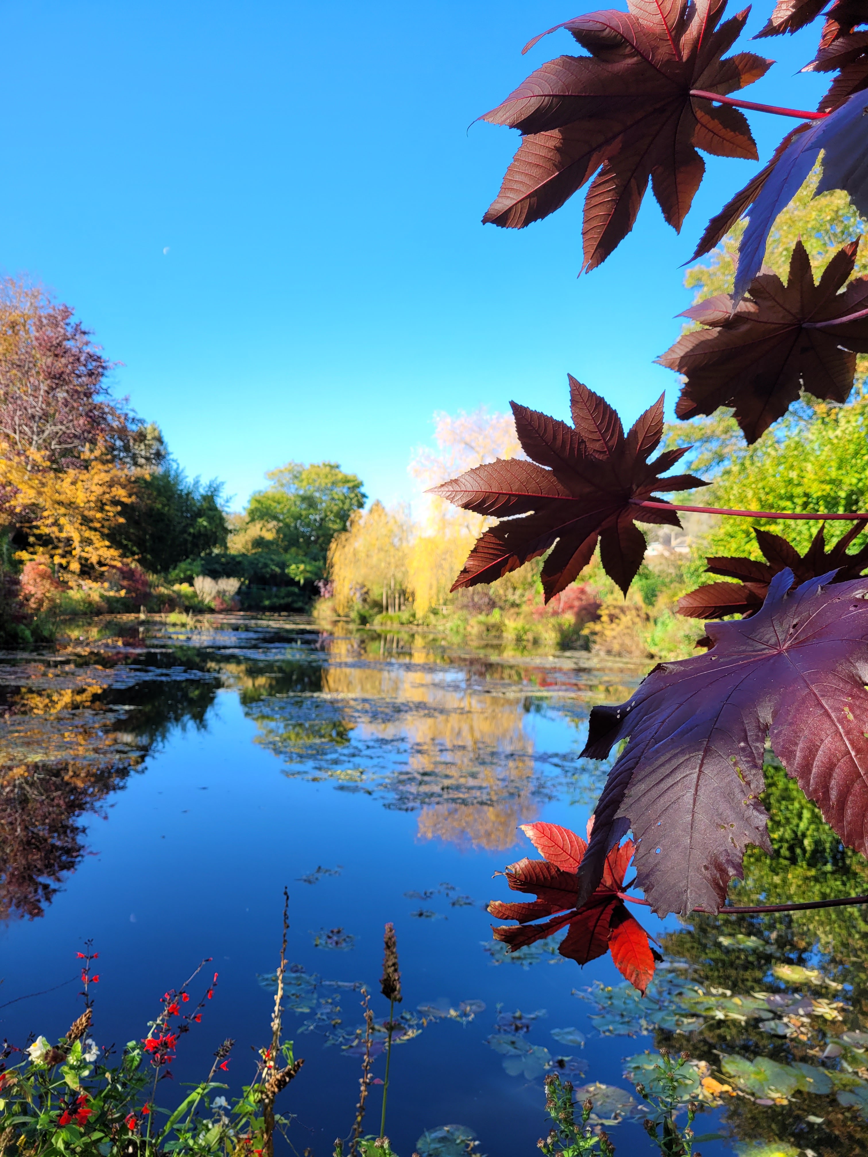 Photo n° 1 de l'avis de Cynthia.e fait le 29/10/2021 à 17:11