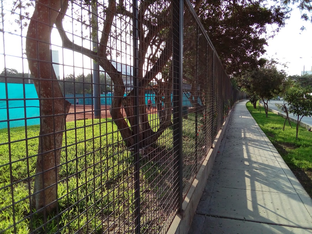 Canchas De TENIS SURCO