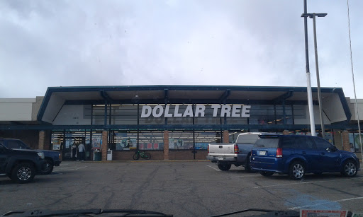 Dollar Store «Dollar Tree», reviews and photos, 10615 Melody Dr a, Northglenn, CO 80234, USA