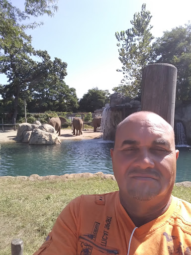 Country Club «Warwick Country Club», reviews and photos, 394 Narragansett Bay Ave, Warwick, RI 02889, USA