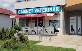 Cabinet Veterinar Popesti Vet - Blue Horse