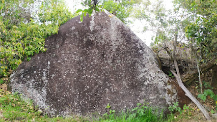 Petroglifos de Samanga