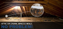 Mold Removal Express - Photo 8 - Car repair in , Boulder