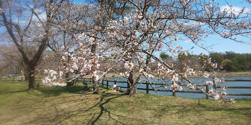 長沼球場