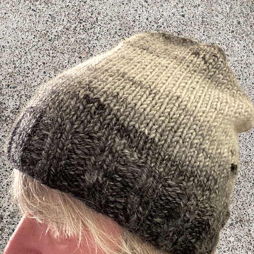 Pet Supply Store «theDogWorks/cats2», reviews and photos, 195 Thurman Ave, Columbus, OH 43206, USA