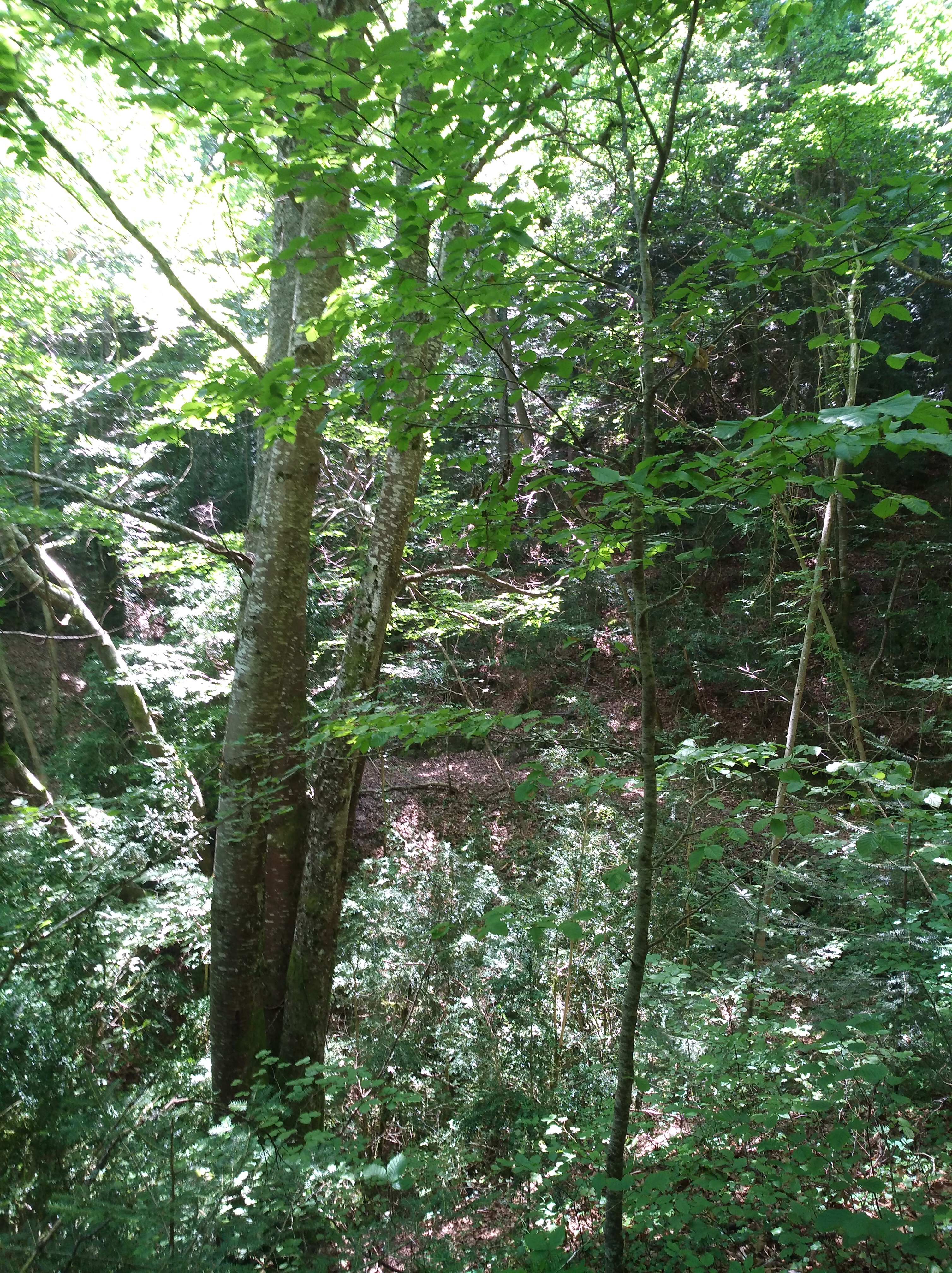 Photo n° 3 de l'avis de Nadine.o fait le 17/07/2018 à 15:02