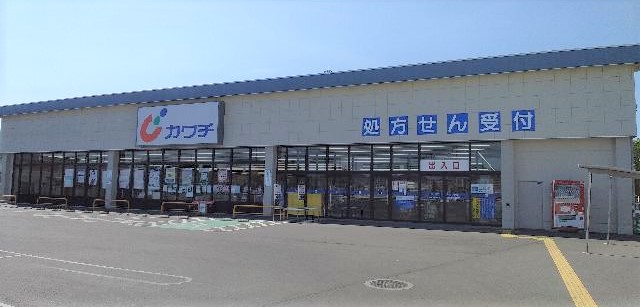 カワチ薬品 城内店