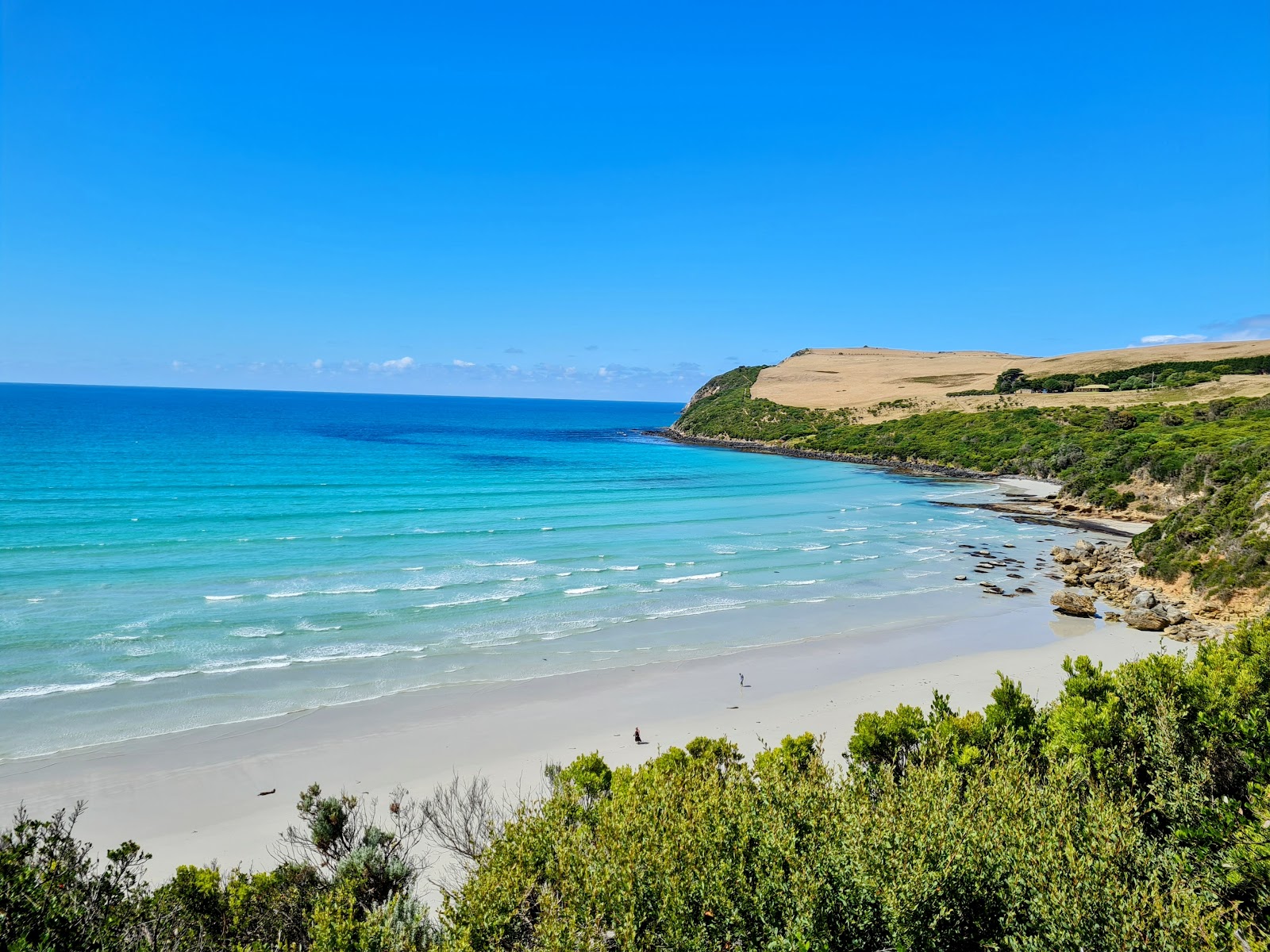 Shelly Beach, Victoria的照片 带有碧绿色纯水表面