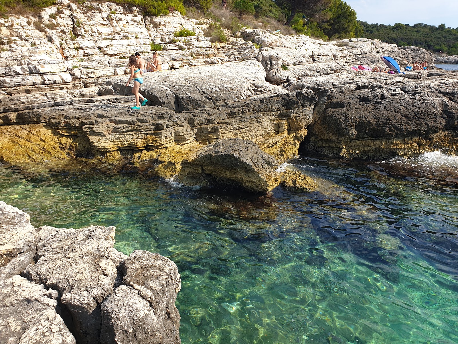 Foto de Toreta beach área selvagem