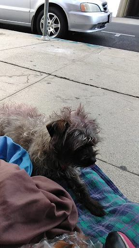 Pet Supply Store «Red Barn Feed Also», reviews and photos, 10142 Balboa Blvd, Granada Hills, CA 91344, USA