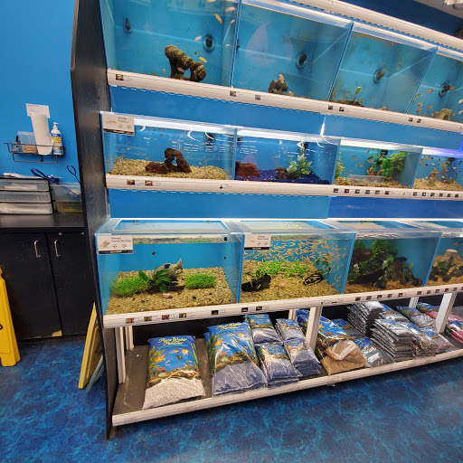 Pet Supply Store «Pet Supermarket», reviews and photos, 800 Sebring Square.., Sebring, FL 33870, USA