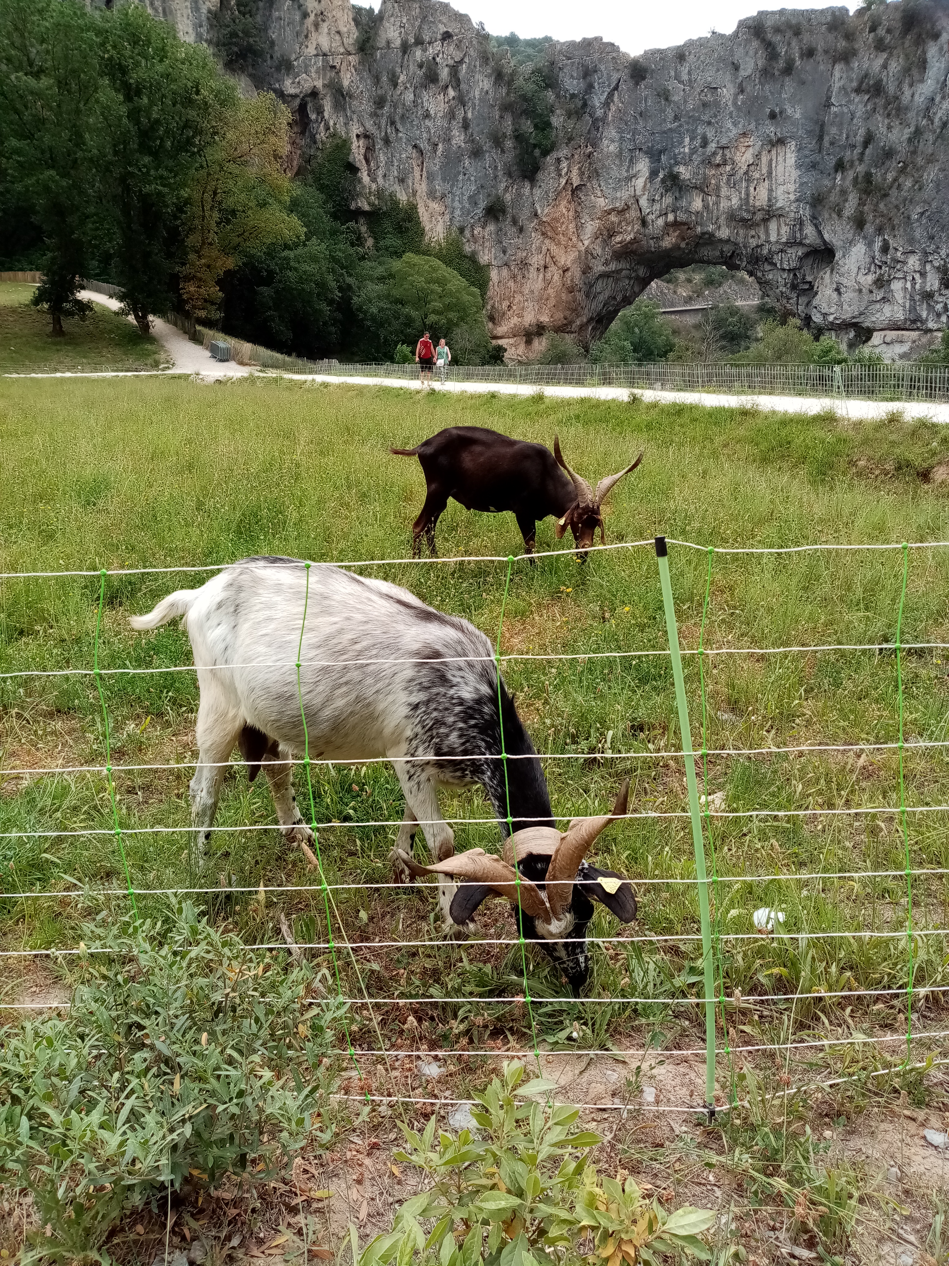 Photo n° 1 de l'avis de Christelle.e fait le 21/06/2021 à 20:10