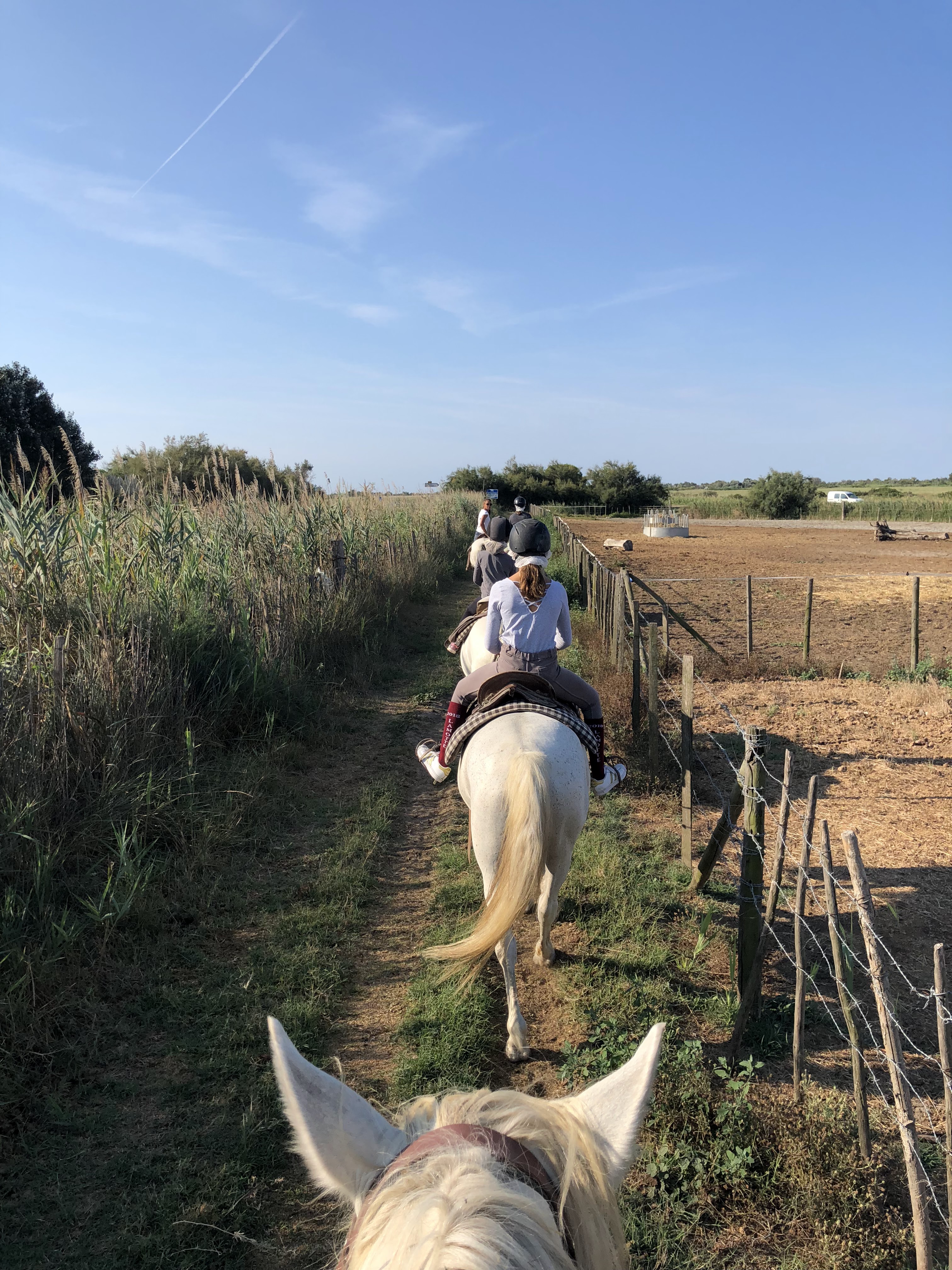 Photo n° 1 de l'avis de Frederic.O fait le 22/08/2018 à 11:07