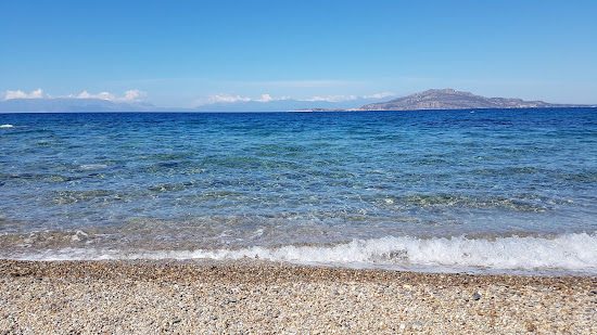 Oink beach