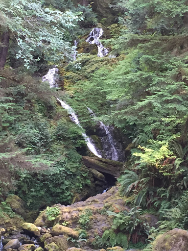 Outdoor Sports Store «The Local Hiker», reviews and photos, 173 E Main St, Spartanburg, SC 29306, USA