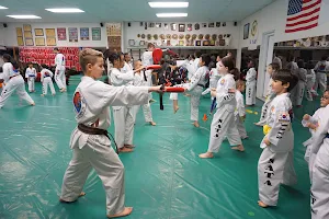 North American Taekwondo and Hoijeon Moosool Academy image