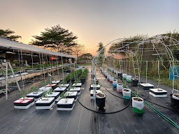 Three-Sis Garden